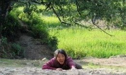 樱桃电影在线观看整版,在线全版观影指南